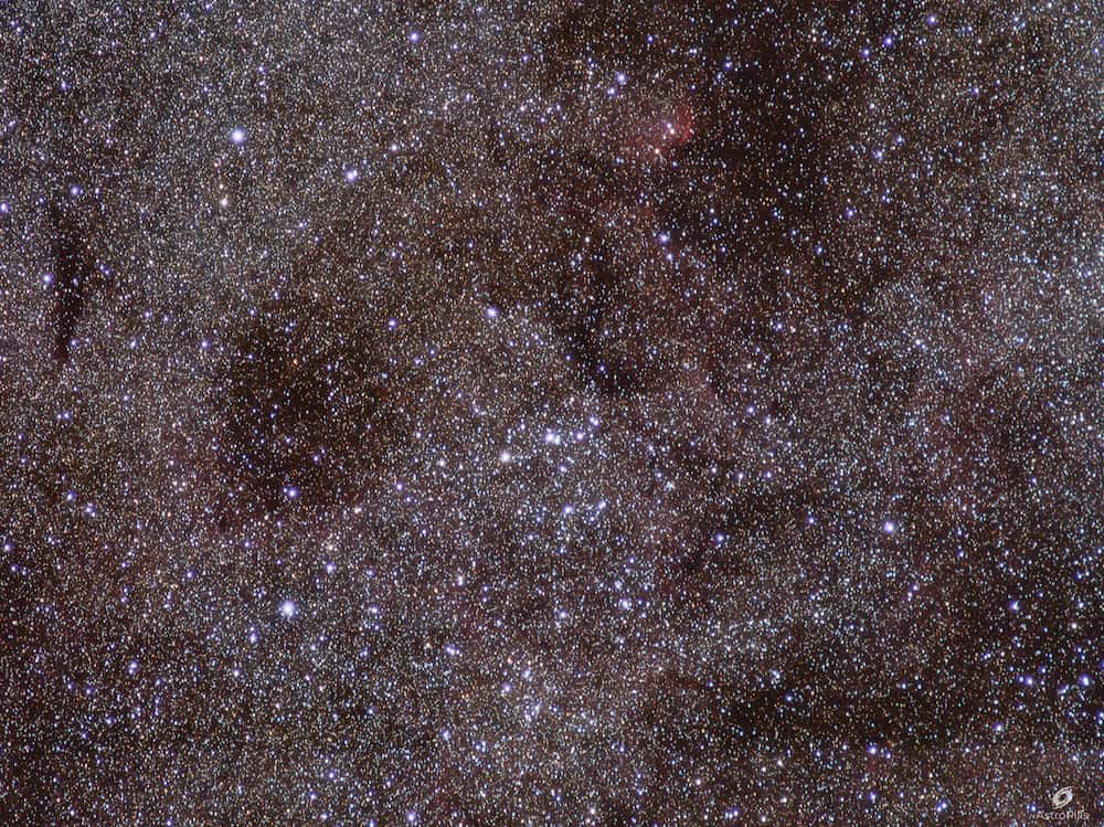stellar field in Cygnus taken with at f5.6