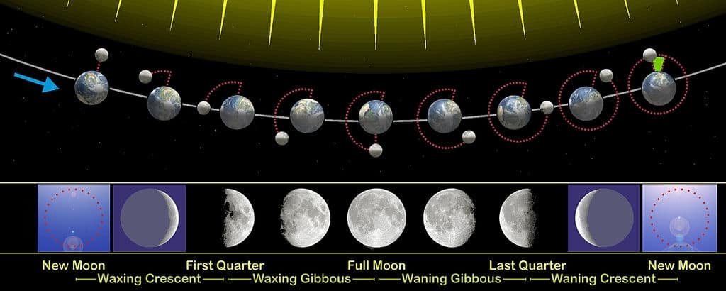 The relation of the phases of the Moon with its revolution around Earth