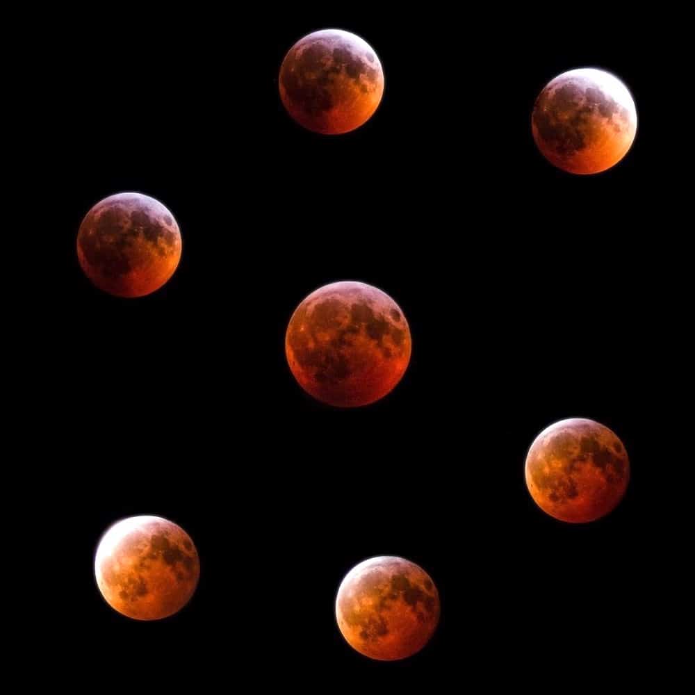 An “S”-shaped collage of images of the total lunar eclipse of January 21st 2019 in Belgium.