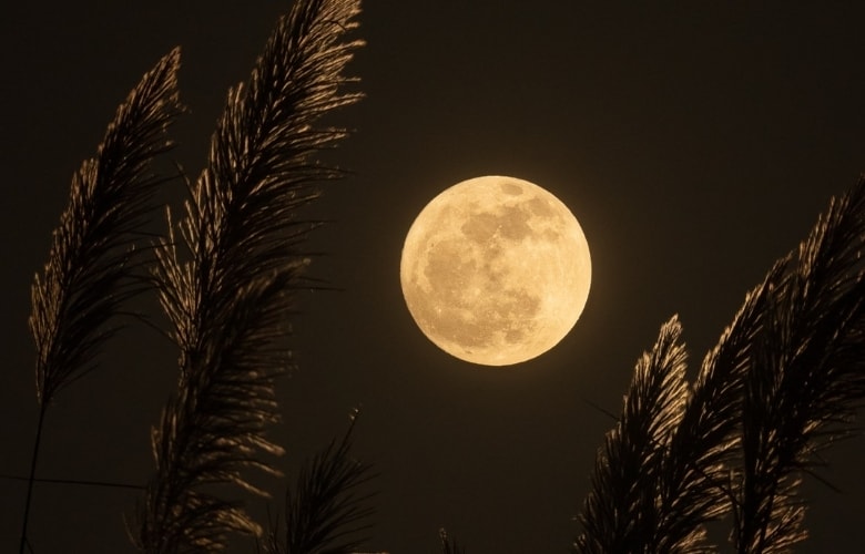 luminous full moon
