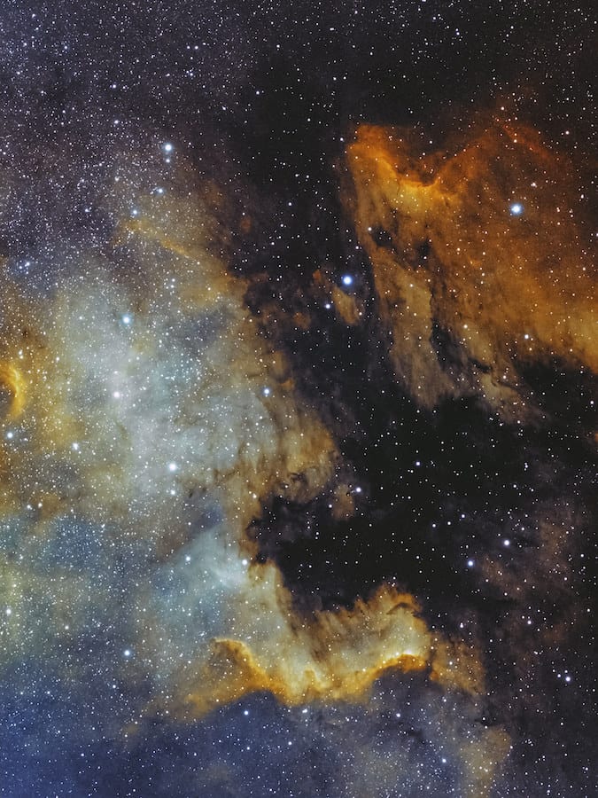 The North America and Pelican Nebula in false colors from a dual narrowband filter.