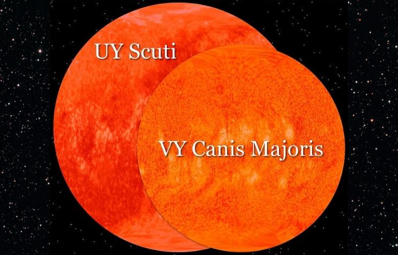 UY Scuti versus VY Canis Majoris