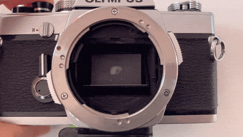 Slow-motion of the mirror flip in an SLR camera